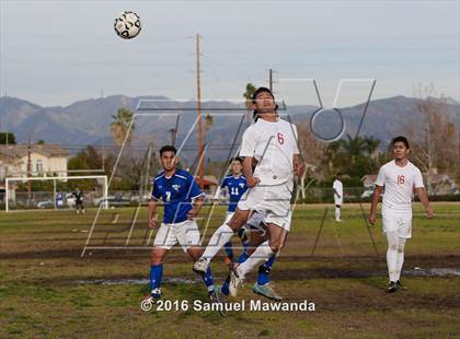 Thumbnail 3 in Poly @ Arleta photogallery.