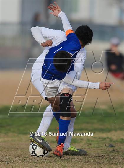 Thumbnail 2 in Poly @ Arleta photogallery.