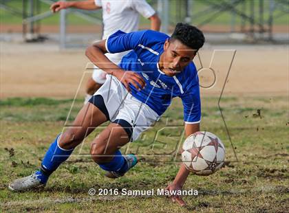 Thumbnail 3 in Poly @ Arleta photogallery.