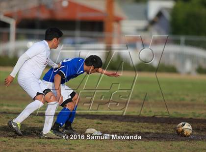 Thumbnail 2 in Poly @ Arleta photogallery.
