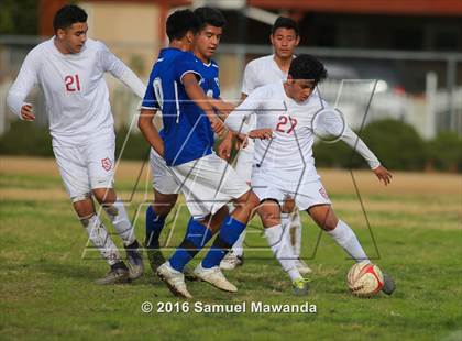 Thumbnail 2 in Poly @ Arleta photogallery.