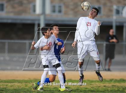 Thumbnail 2 in Poly @ Arleta photogallery.