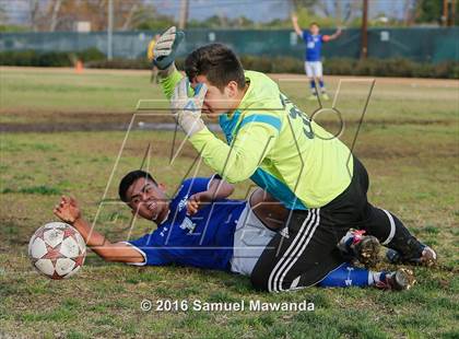 Thumbnail 3 in Poly @ Arleta photogallery.