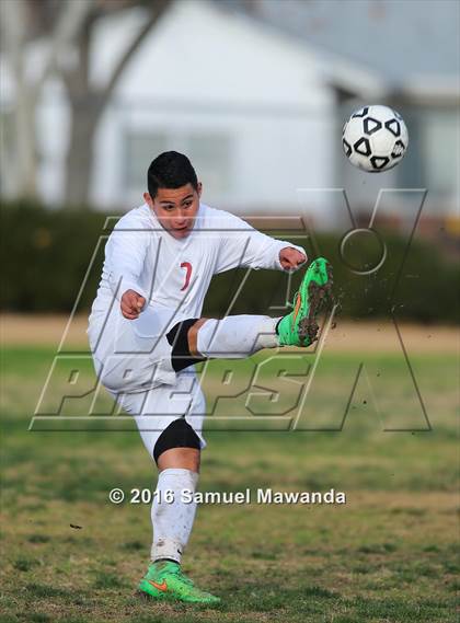 Thumbnail 3 in Poly @ Arleta photogallery.