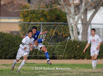 Thumbnail 3 in Poly @ Arleta photogallery.