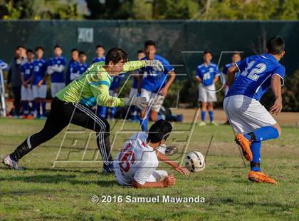 Thumbnail 3 in Poly @ Arleta photogallery.