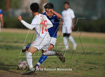 Thumbnail 1 in Poly @ Arleta photogallery.
