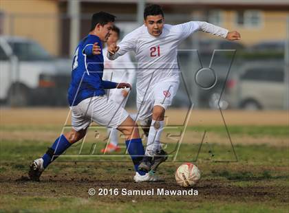 Thumbnail 2 in Poly @ Arleta photogallery.