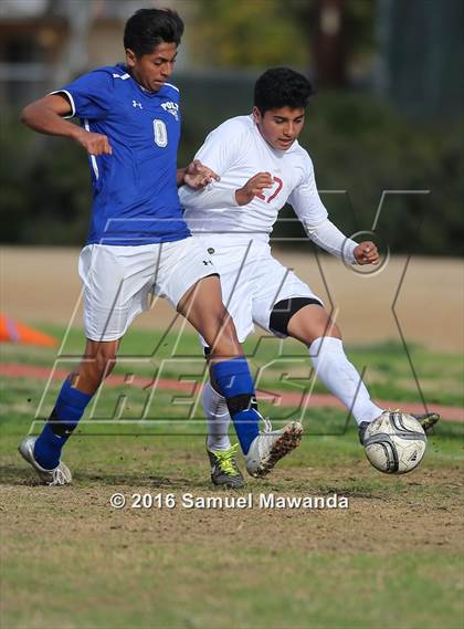 Thumbnail 1 in Poly @ Arleta photogallery.