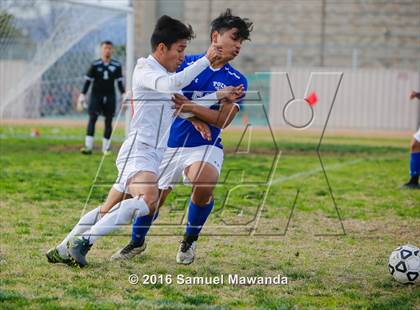 Thumbnail 3 in Poly @ Arleta photogallery.