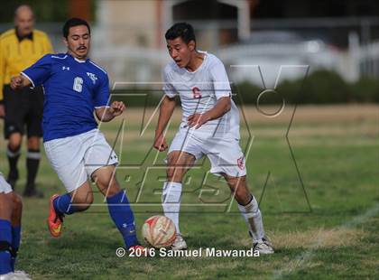 Thumbnail 3 in Poly @ Arleta photogallery.