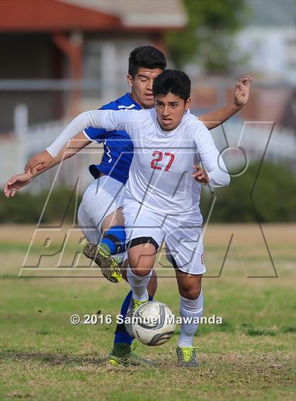 Thumbnail 1 in Poly @ Arleta photogallery.