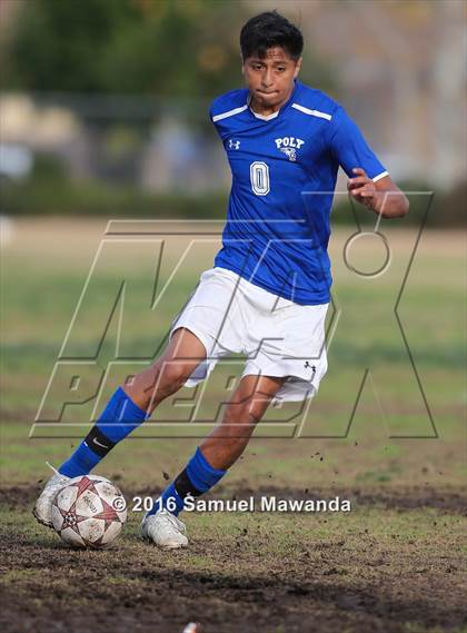 Thumbnail 3 in Poly @ Arleta photogallery.
