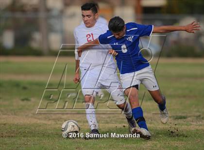 Thumbnail 3 in Poly @ Arleta photogallery.