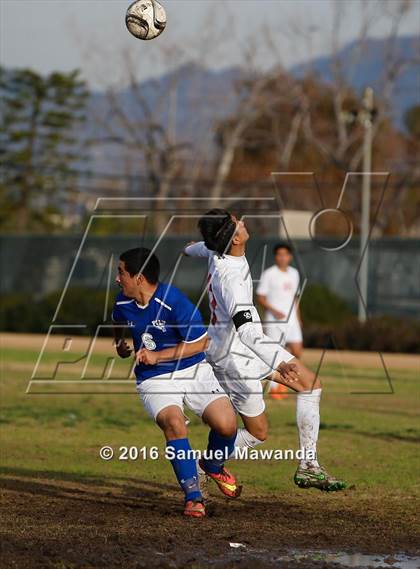 Thumbnail 1 in Poly @ Arleta photogallery.
