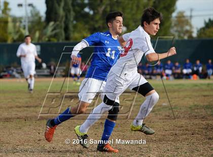 Thumbnail 2 in Poly @ Arleta photogallery.