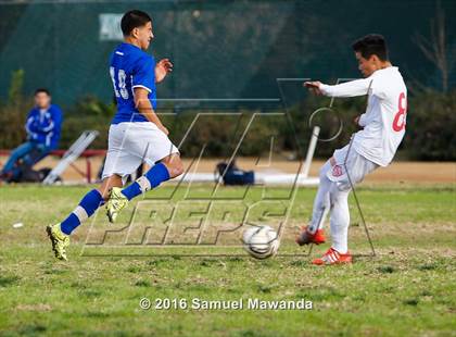 Thumbnail 2 in Poly @ Arleta photogallery.
