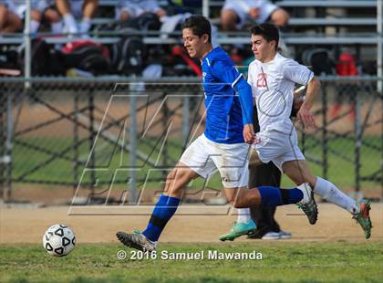 Thumbnail 3 in Poly @ Arleta photogallery.
