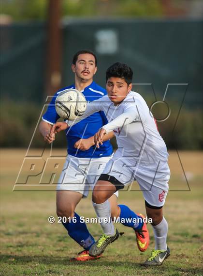 Thumbnail 1 in Poly @ Arleta photogallery.