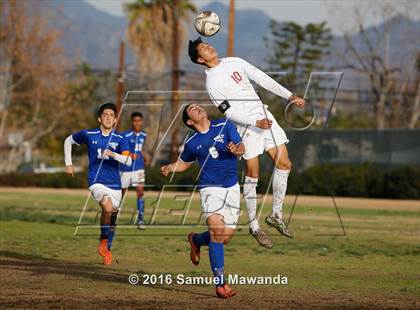 Thumbnail 3 in Poly @ Arleta photogallery.