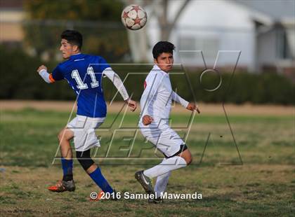 Thumbnail 3 in Poly @ Arleta photogallery.
