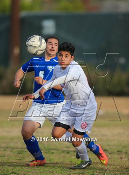 Thumbnail 3 in Poly @ Arleta photogallery.