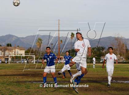 Thumbnail 1 in Poly @ Arleta photogallery.