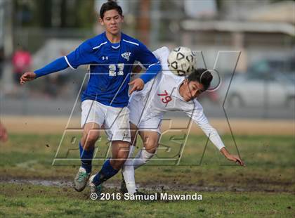 Thumbnail 2 in Poly @ Arleta photogallery.