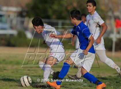 Thumbnail 3 in Poly @ Arleta photogallery.