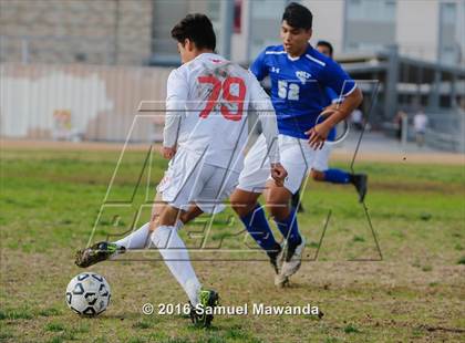 Thumbnail 2 in Poly @ Arleta photogallery.