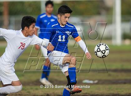 Thumbnail 2 in Poly @ Arleta photogallery.