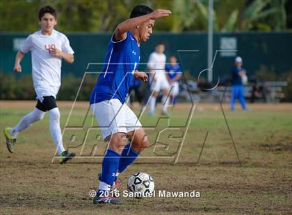Thumbnail 3 in Poly @ Arleta photogallery.