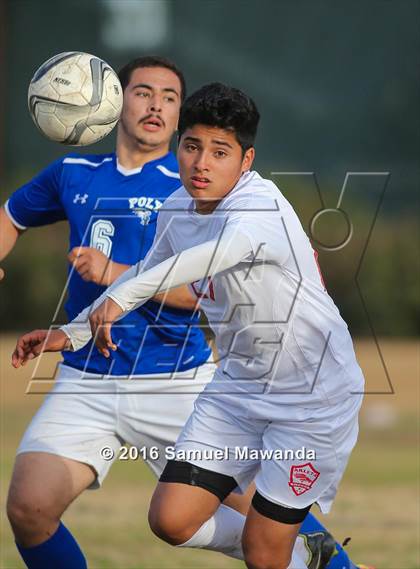 Thumbnail 1 in Poly @ Arleta photogallery.