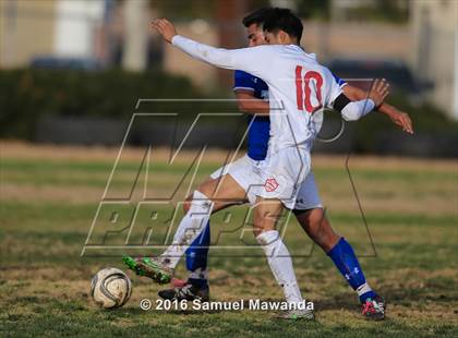 Thumbnail 3 in Poly @ Arleta photogallery.