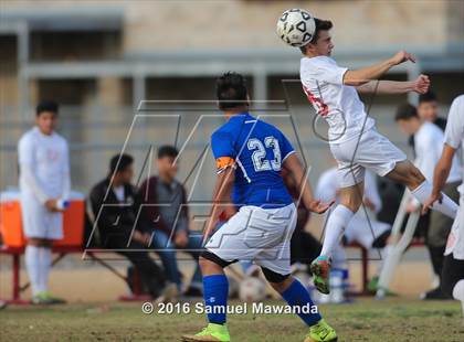 Thumbnail 2 in Poly @ Arleta photogallery.