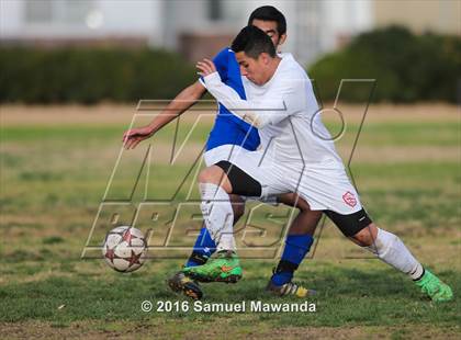 Thumbnail 2 in Poly @ Arleta photogallery.