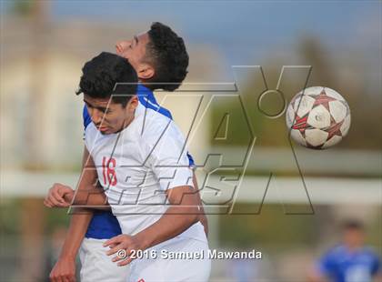 Thumbnail 2 in Poly @ Arleta photogallery.