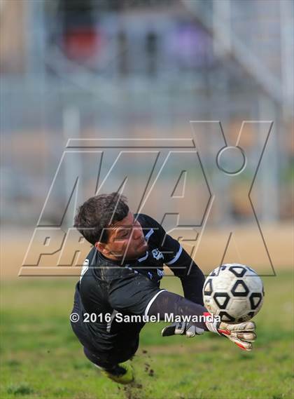 Thumbnail 2 in Poly @ Arleta photogallery.