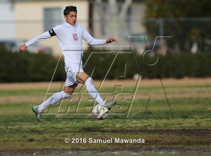 Thumbnail 2 in Poly @ Arleta photogallery.