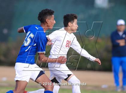 Thumbnail 2 in Poly @ Arleta photogallery.