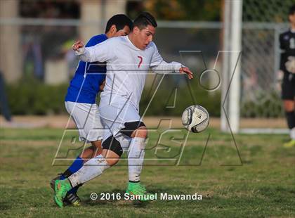 Thumbnail 3 in Poly @ Arleta photogallery.