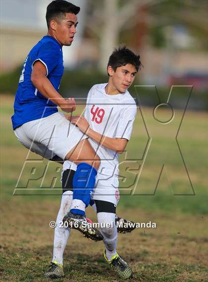 Thumbnail 2 in Poly @ Arleta photogallery.