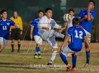 Thumbnail 2 in Poly @ Arleta photogallery.