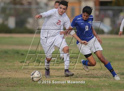 Thumbnail 2 in Poly @ Arleta photogallery.