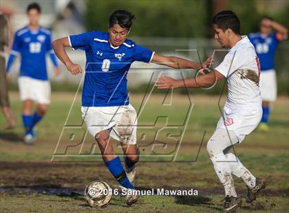Thumbnail 1 in Poly @ Arleta photogallery.