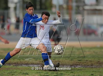 Thumbnail 1 in Poly @ Arleta photogallery.