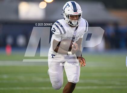 Thumbnail 1 in Webster Thomas @ Brighton photogallery.