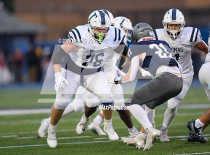 Thumbnail 1 in Webster Thomas @ Brighton photogallery.