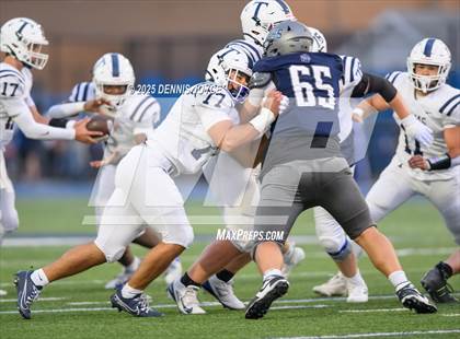 Thumbnail 3 in Webster Thomas @ Brighton photogallery.