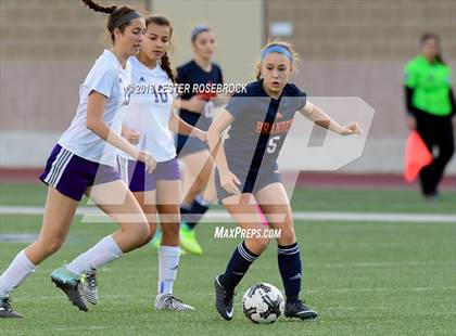 Thumbnail 2 in Warren @ Brandeis photogallery.